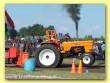 DSCF0894.JPG