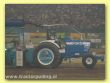 DSCF5118.JPG