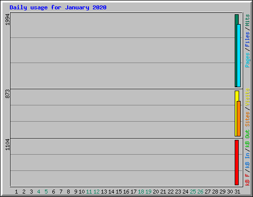 Daily usage for January 2020