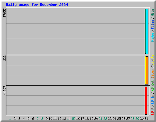 Daily usage for December 2024