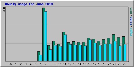 Hourly usage for June 2019