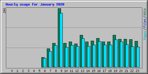 Hourly usage for January 2020