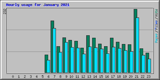 Hourly usage for January 2021