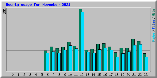 Hourly usage for November 2021