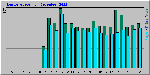 Hourly usage for December 2021