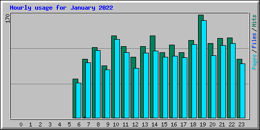 Hourly usage for January 2022