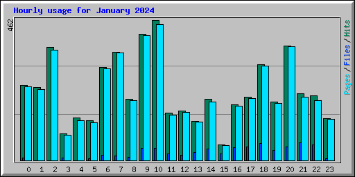 Hourly usage for January 2024