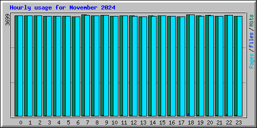 Hourly usage for November 2024