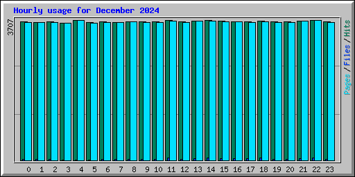 Hourly usage for December 2024