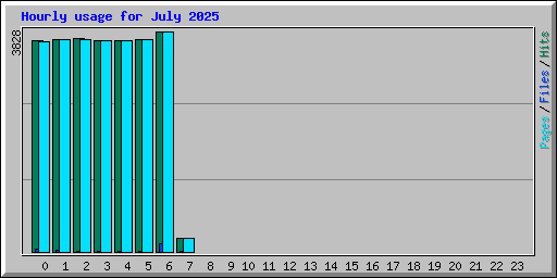 Hourly usage for July 2025