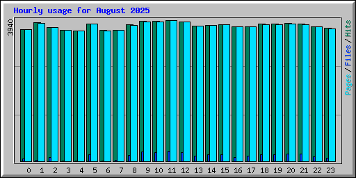 Hourly usage for August 2025