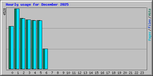 Hourly usage for December 2025