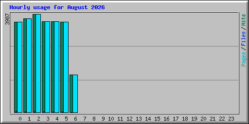 Hourly usage for August 2026